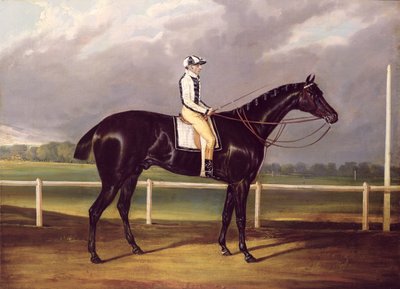 Jerry, vainqueur du St. Leger en 1824 - English School