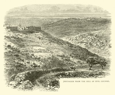 Jérusalem depuis la colline du Mauvais Conseil - English School