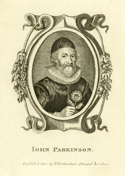 John Parkinson - English School