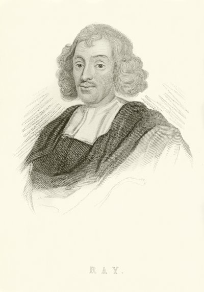 John Ray - English School