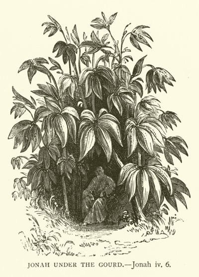 Jonas sous le ricin, Jonas, iv, 6 (gravure) - English School