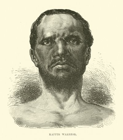 Guerrier kaffir - English School