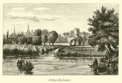 Kidney Backwater - English School