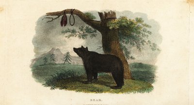 Méthode de chasse à l