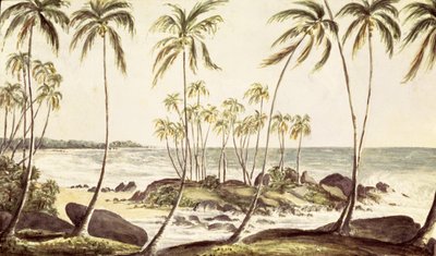 Plage de Kosgoda, Ceylan, c.1835 (aquarelle sur papier) - English School