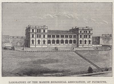 Laboratoire de l