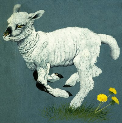 Agneau - English School