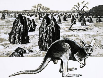 Grandes termitières près de Darwin, Australie, et un kangourou au premier plan - English School