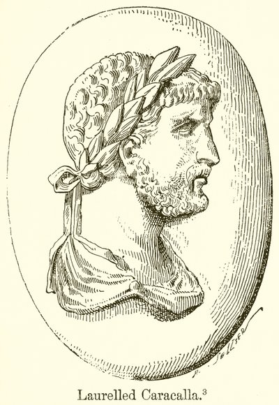 Caracalla lauré - English School