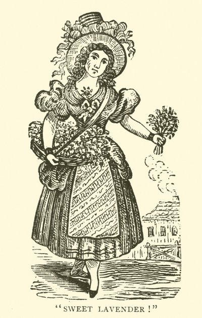 Vendeur de lavande - English School