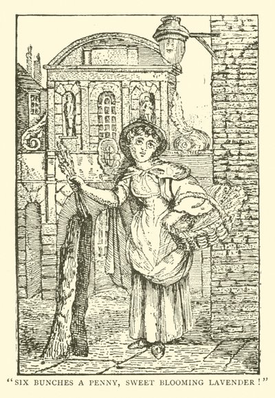 Vendeur de lavande - English School