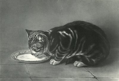 Le Gourmand - English School