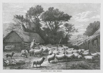 La conduite des moutons (gravure) - English School