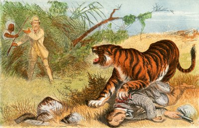 Lieutenant Rice et le tigre - English School