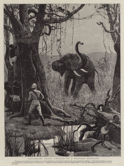 Le lieutenant Stairs chargé par un éléphant blessé - English School