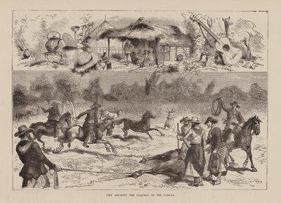 La vie parmi les Guachos de la Pampa (gravure) - English School