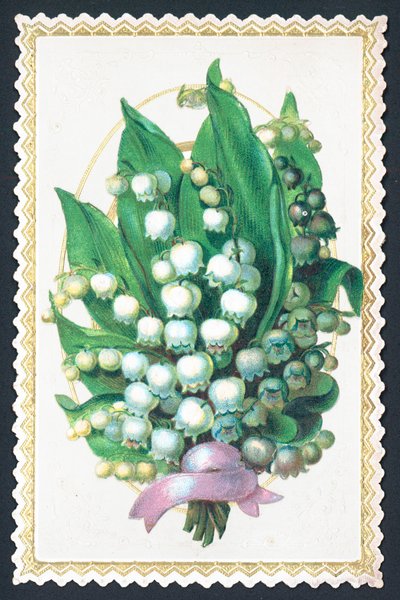Plante de muguet, carte - English School