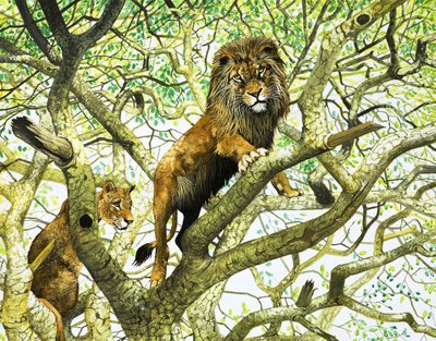 Lion et lionne dans un arbre (gouache sur papier) - English School