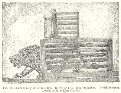 Lion sortant de sa cage (gravure) - English School