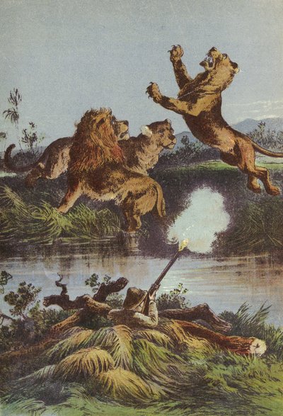Chasse au lion la nuit - English School
