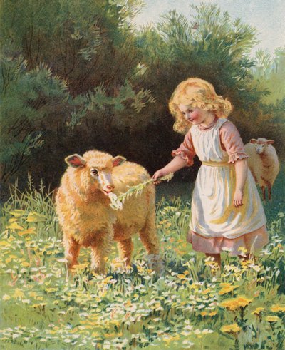 Petite fille nourrissant une fleur à un mouton dans un pré - English School