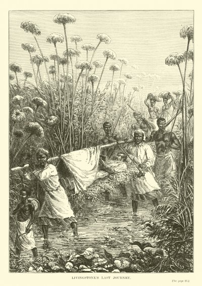 Dernier Voyage de Livingstone - English School