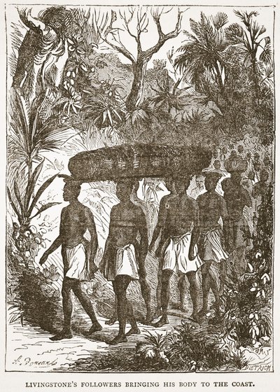 Les suiveurs de Livingstone apportant son corps à la côte, illustration de l
