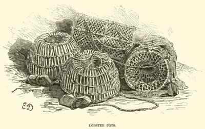 Paniers à homards - English School