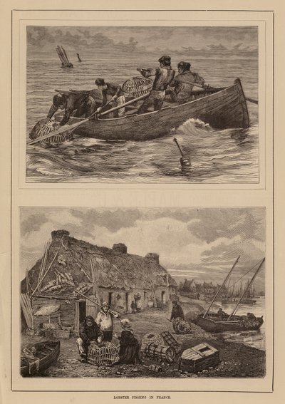 Pêche au homard, France - English School