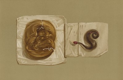 Mèche de cheveux de Marie Stuart, mèche de cheveux du roi Charles Ier - English School