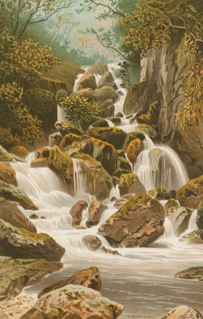 Chutes de Lodore--Derwentwater - English School