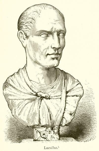 Lucullus - English School