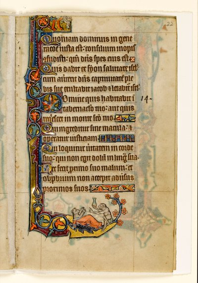 Le médecin-singe et son patient-ours, décoration marginale du Psautier de Macclesfield, Usage de Sarum, East Anglia, vers 1330 - English School