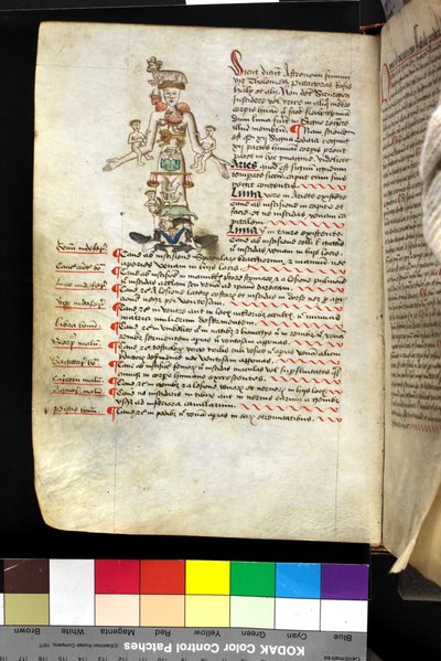 MS Hunter 251 f.47v, illustration d