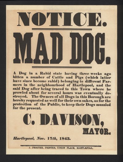 Avis de chien enragé, Hartlepool, 1843 - English School