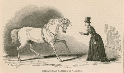 Mademoiselle Caroline aux jardins de Vauxhall, Londres - English School