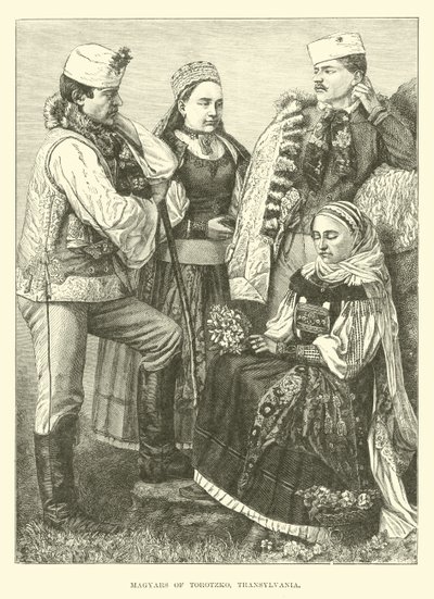 Magyars de Torotzko, Transylvanie - English School