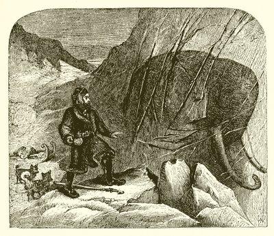 Mammouth dans la glace - English School