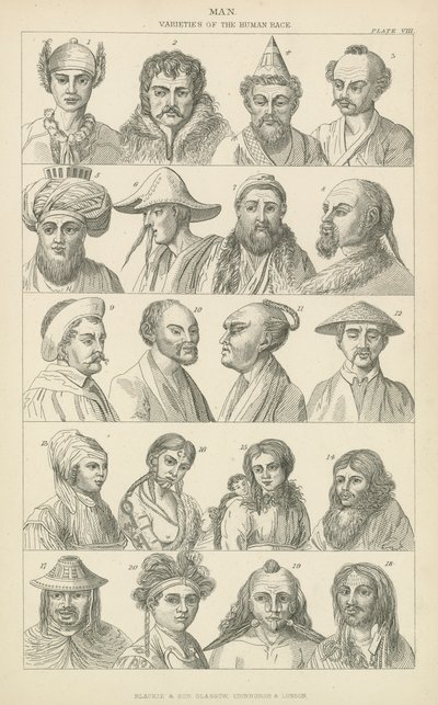 Homme. Variétés de la race humaine - English School