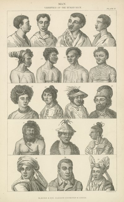 Homme. Variétés de la race humaine - English School