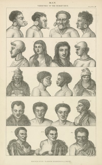 Homme. Variétés de la race humaine - English School