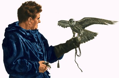 Homme tenant un oiseau de proie - English School