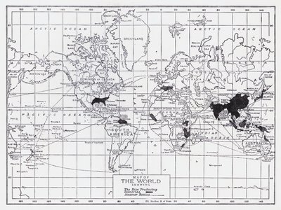 Carte du monde montrant les pays producteurs de riz - English School