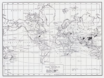 Carte du monde montrant les pays producteurs de thé - English School
