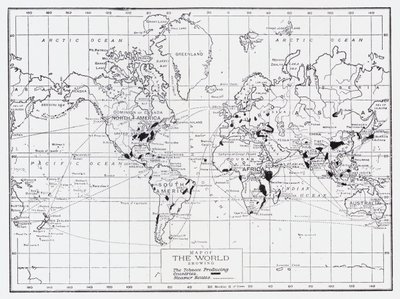 Carte du monde montrant les pays producteurs de tabac - English School