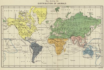 Carte montrant la distribution des animaux - English School