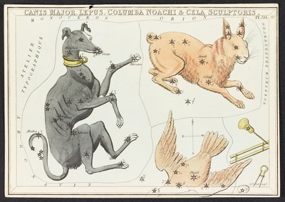Canis Major Lepus, de 