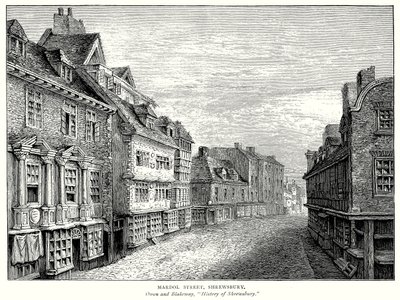 Mardol Street, Shrewsbury (gravure) - English School
