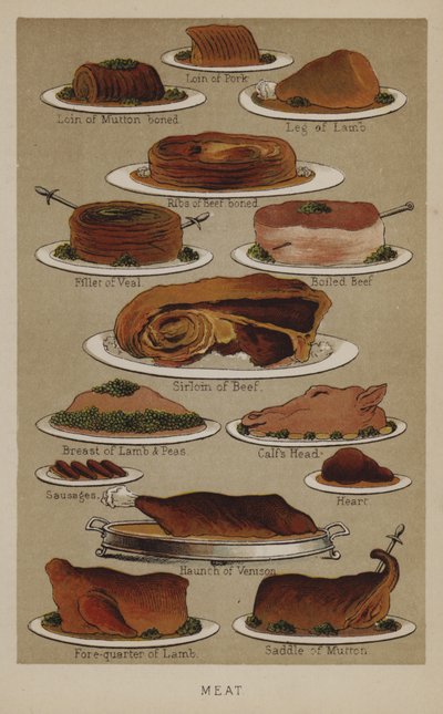 Viande - English School