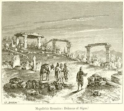 Vestiges Mégalithiques : Dolmens de Sigus - English School